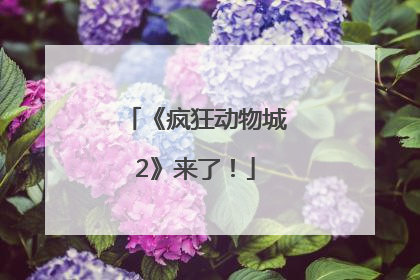 《疯狂动物城2》来了！
