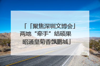 「聚焦深圳文博会」两地“牵手”结硕果 昭通皇菊香飘鹏城