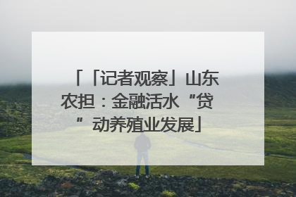 「记者观察」山东农担：金融活水“贷”动养殖业发展