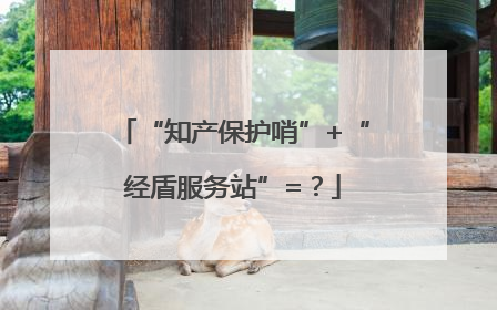 “知产保护哨”+“经盾服务站”=？