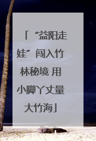 “益阳走娃”闯入竹林秘境 用小脚丫丈量大竹海