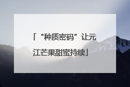“种质密码”让元江芒果甜蜜持续