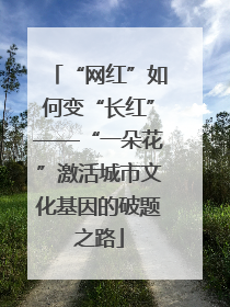 “网红”如何变“长红”——“一朵花”激活城市文化基因的破题之路