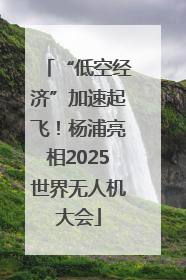 “低空经济”加速起飞！杨浦亮相2025世界无人机大会