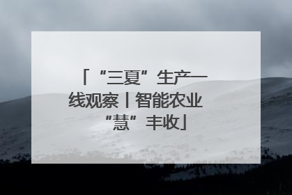 “三夏”生产一线观察丨智能农业“慧”丰收