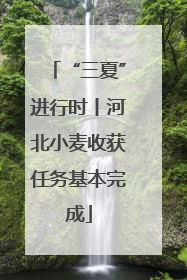 “三夏”进行时丨河北小麦收获任务基本完成