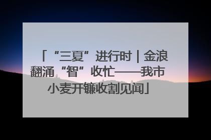“三夏”进行时｜金浪翻涌“智”收忙——我市小麦开镰收割见闻