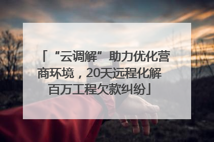 “云调解”助力优化营商环境，20天远程化解百万工程欠款纠纷