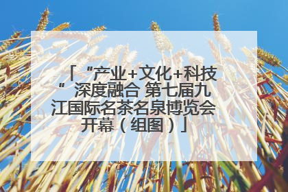 “产业+文化+科技”深度融合 第七届九江国际名茶名泉博览会开幕（组图）