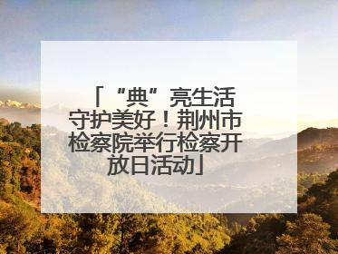 “典”亮生活 守护美好！荆州市检察院举行检察开放日活动