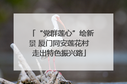 “党群莲心”绘新景 厦门同安莲花村走出特色振兴路
