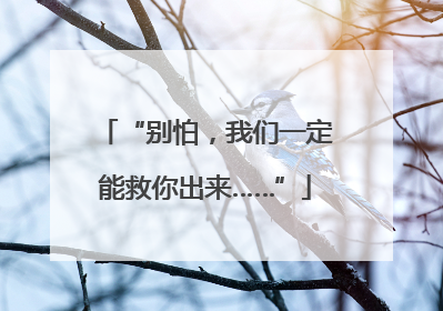 “别怕，我们一定能救你出来……”