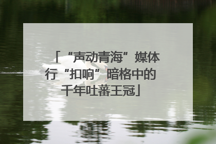 “声动青海”媒体行“扣响”暗格中的千年吐蕃王冠