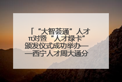 “大智荟通”人才π对暨“人才绿卡”颁发仪式成功举办——西宁人才周大通分会场亮点纷呈