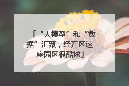 “大模型”和“数据”汇聚，经开区这座园区很酷炫