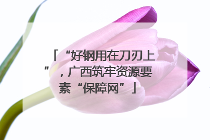 “好钢用在刀刃上”，广西筑牢资源要素“保障网”