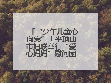 “少年儿童心向党”！平顶山市妇联举行“爱心妈妈”慰问困境儿童活动