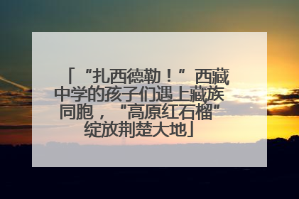 “扎西德勒！”西藏中学的孩子们遇上藏族同胞，“高原红石榴”绽放荆楚大地