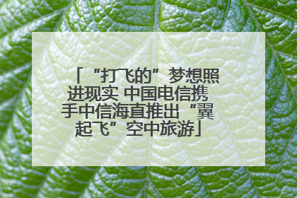 “打飞的”梦想照进现实 中国电信携手中信海直推出“翼起飞”空中旅游
