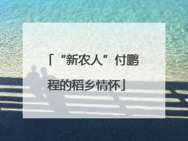 “新农人”付鹏程的稻乡情怀