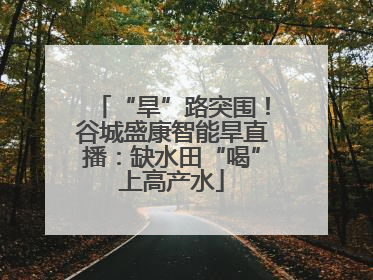 “旱”路突围！谷城盛康智能旱直播：缺水田“喝”上高产水