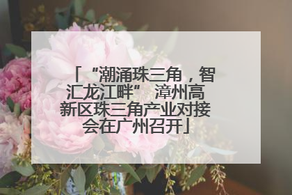 “潮涌珠三角，智汇龙江畔” 漳州高新区珠三角产业对接会在广州召开