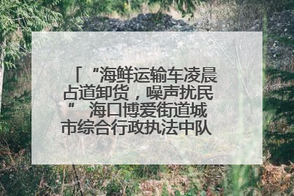 “海鲜运输车凌晨占道卸货，噪声扰民” 海口博爱街道城市综合行政执法中队：将联合交警加强长堤路一带巡逻