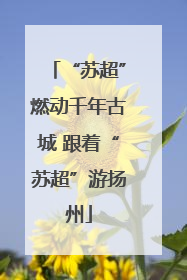 “苏超”燃动千年古城 跟着“苏超”游扬州