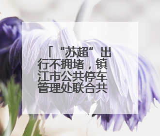 “苏超”出行不拥堵，镇江市公共停车管理处联合共享单车推出多项升级