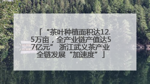 “茶叶种植面积达12.5万亩，全产业链产值达57亿元” 浙江武义茶产业全链发展“加速度”