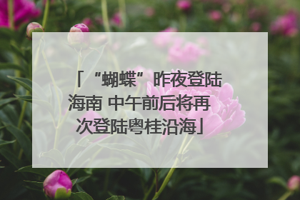 “蝴蝶”昨夜登陆海南 中午前后将再次登陆粤桂沿海