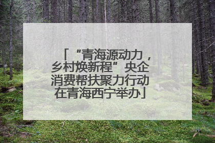 “青海源动力，乡村焕新程”央企消费帮扶聚力行动在青海西宁举办