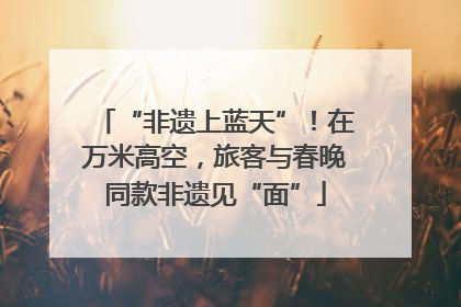 “非遗上蓝天”！在万米高空，旅客与春晚同款非遗见“面”