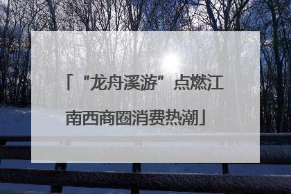 “龙舟溪游”点燃江南西商圈消费热潮