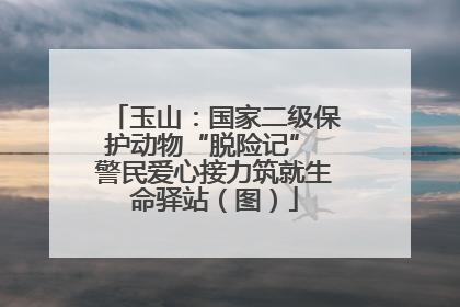 玉山：国家二级保护动物“脱险记” 警民爱心接力筑就生命驿站（图）