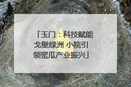 玉门：科技赋能戈壁绿洲 小院引领蜜瓜产业振兴