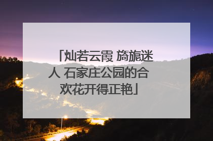 灿若云霞 旖旎迷人 石家庄公园的合欢花开得正艳