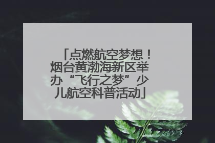 点燃航空梦想！烟台黄渤海新区举办“飞行之梦”少儿航空科普活动