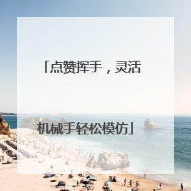 点赞挥手，灵活机械手轻松模仿