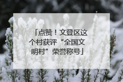 点赞！文登区这个村获评“全国文明村”荣誉称号