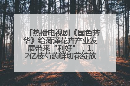 热播电视剧《国色芳华》给菏泽花卉产业发展带来“利好”，1.2亿枝芍药鲜切花绽放“国色芳华”