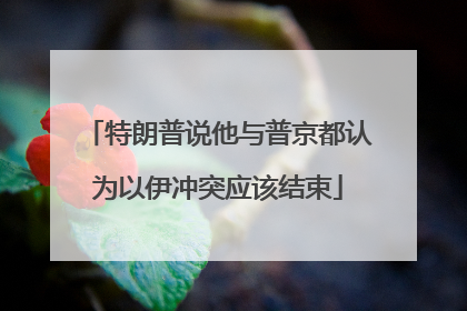 特朗普说他与普京都认为以伊冲突应该结束