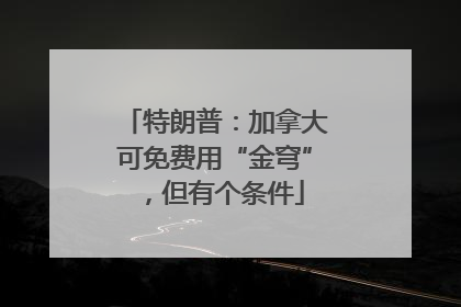 特朗普：加拿大可免费用“金穹”，但有个条件