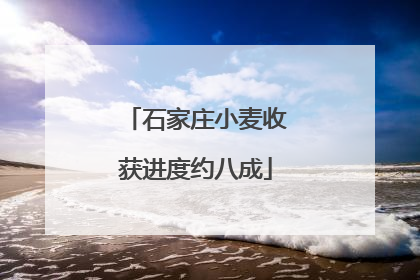 石家庄小麦收获进度约八成