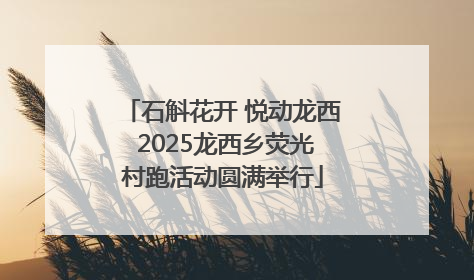 石斛花开 悦动龙西 2025龙西乡荧光村跑活动圆满举行