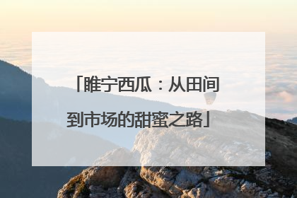 睢宁西瓜：从田间到市场的甜蜜之路