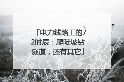 电力线路工的72时辰：爬陡坡钻隧道，还有其它