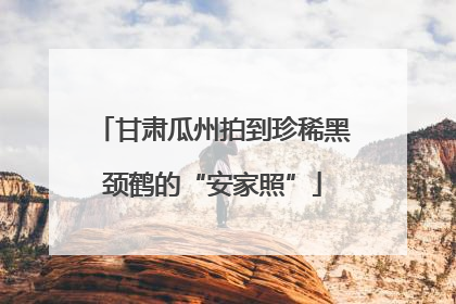 甘肃瓜州拍到珍稀黑颈鹤的“安家照”