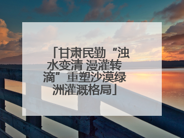 甘肃民勤“浊水变清 漫灌转滴”重塑沙漠绿洲灌溉格局
