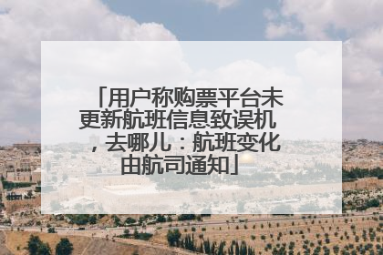 用户称购票平台未更新航班信息致误机，去哪儿：航班变化由航司通知